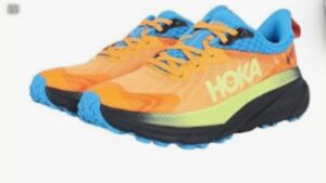 hoka challenger gtx